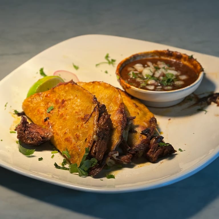 Discover Our Delicious Quesabirria